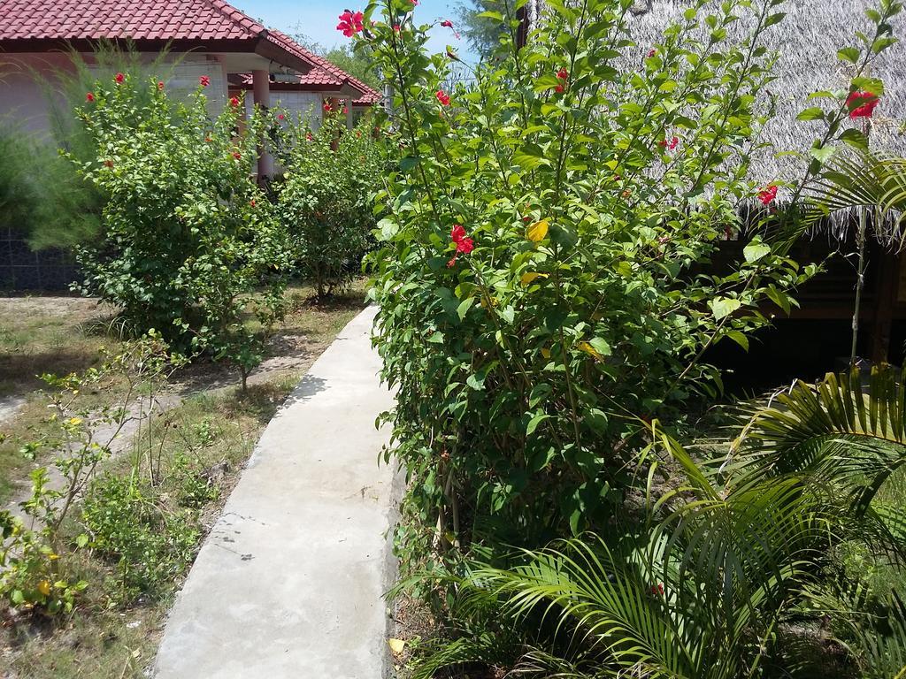 Kalinka Inn Gili Meno Exterior photo