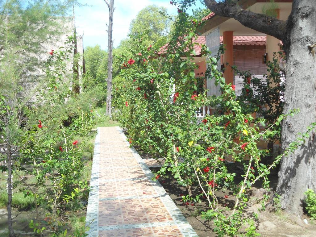 Kalinka Inn Gili Meno Exterior photo